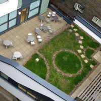 Green Roof Systems 2