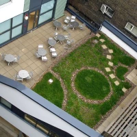 Brown Roof 2