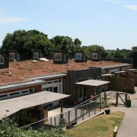 Brown Roof 4