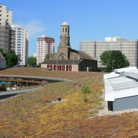 Biodiverse Roof Installers 0