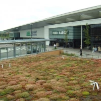 Biodiverse Roof Installers 2