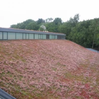 Biodiverse Roof Installers 4