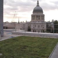 Biodiverse Roof Installers 1